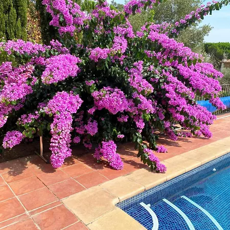 Santalina Oro Con Vistas Al Mar Villa